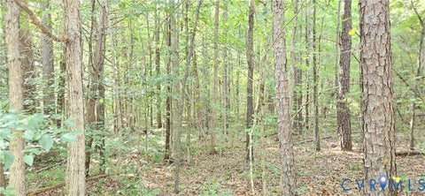 Tiny photo for 9-A-61 Springfield Road, Meherrin, VA 23954 (MLS # 2624343)