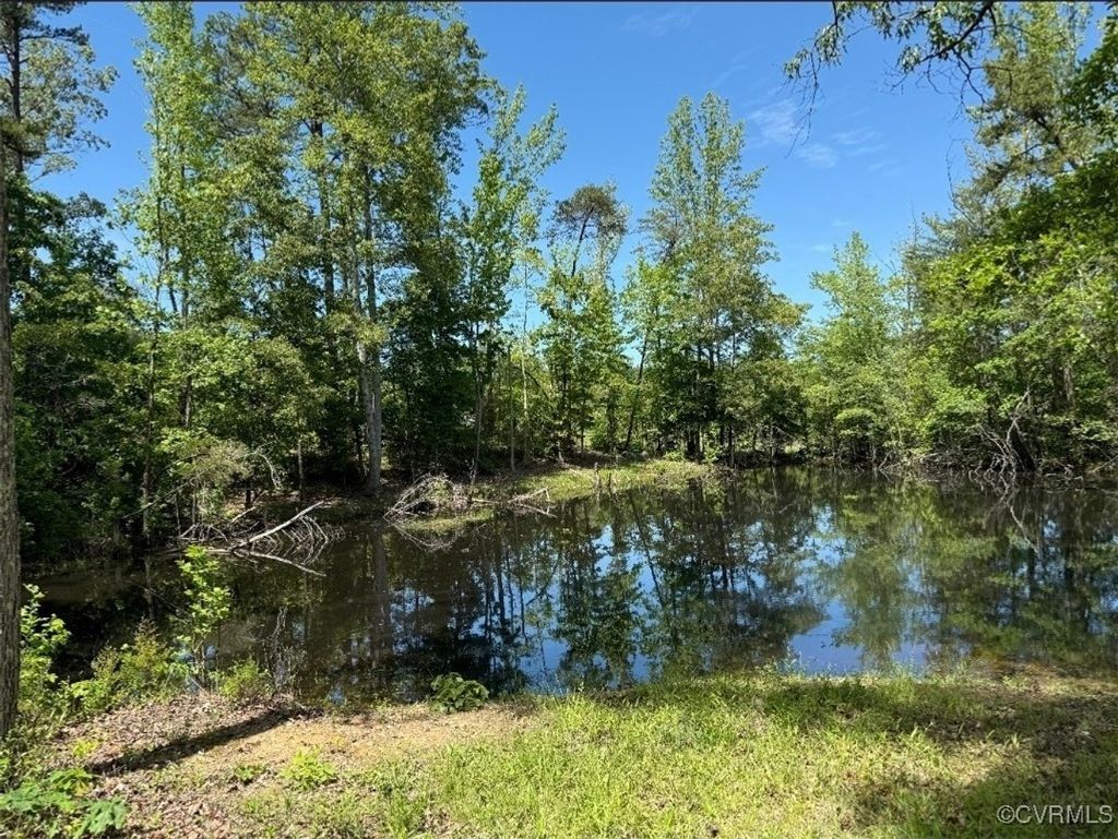 Photo for 0 Walton Road, Louisa, VA 23093 (MLS # 2513760)