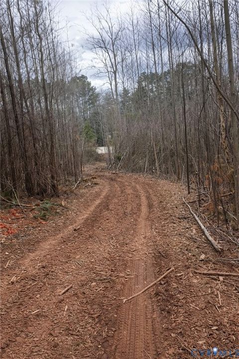 Tiny photo for 0 Jefferson Highway, Bumpass, VA 23024 (MLS # 2606787)