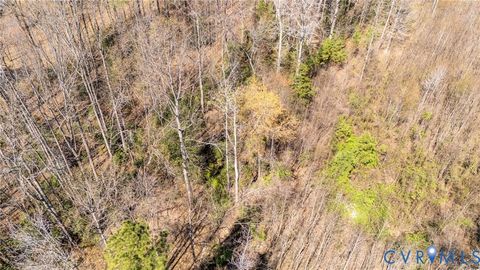 Tiny photo for 0 Jefferson Highway, Bumpass, VA 23024 (MLS # 2606787)
