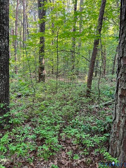 16117 W Patrick Henry Road, Montpelier, VA, 23192