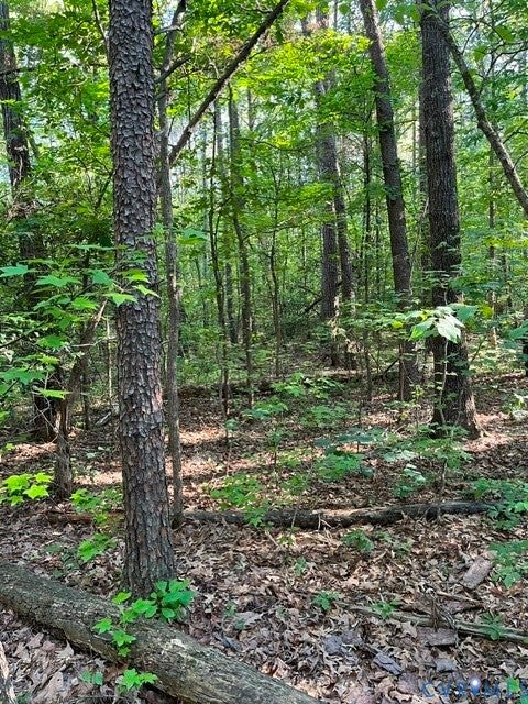 Tiny photo for 16117 W Patrick Henry Road, Montpelier, VA 23192 (MLS # 2615546)