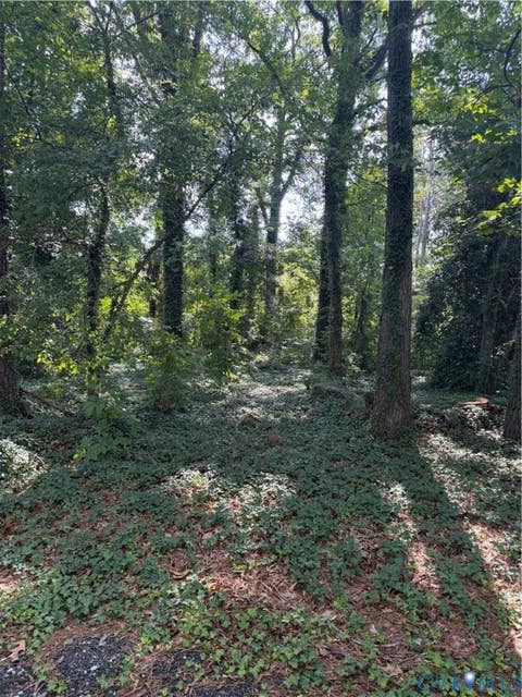 Photo of 4811 Hopkins Road, Ampthill, VA 23234 (MLS # 2622617)