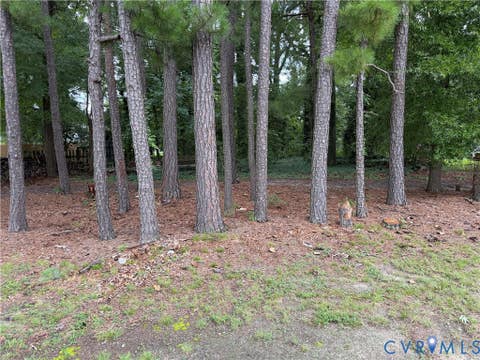 Tiny photo for 4811 Hopkins Road, Ampthill, VA 23234 (MLS # 2622617)
