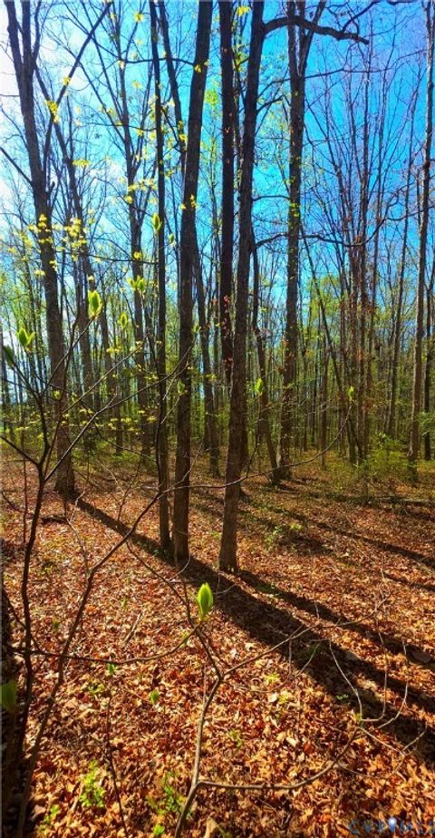 Tiny photo for 13476 Post Oak Road, Spotsylvania, VA 22551 (MLS # 2608589)