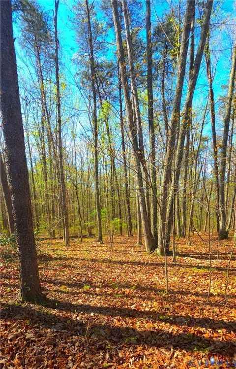 Tiny photo for 13476 Post Oak Road, Spotsylvania, VA 22551 (MLS # 2608589)
