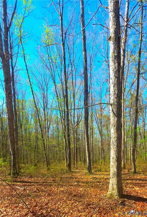 Tiny photo for 13476 Post Oak Road, Spotsylvania, VA 22551 (MLS # 2608589)