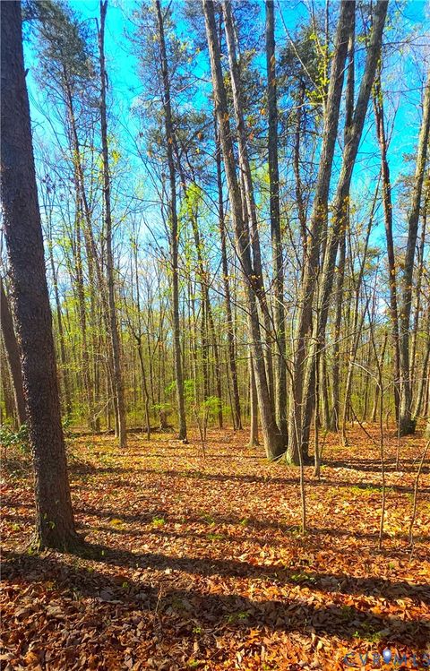 Tiny photo for 13476 Post Oak Road, Spotsylvania, VA 22551 (MLS # 2608589)