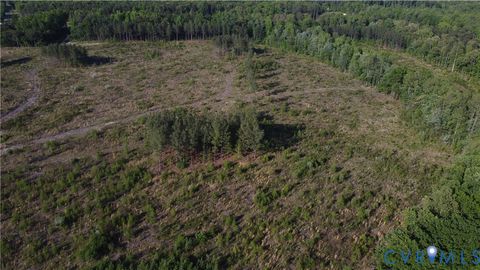 Tiny photo for 62.98 Acres Prince Edward Highway, Rice, VA 23966 (MLS # 2611609)