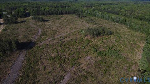 Tiny photo for 62.98 Acres Prince Edward Highway, Rice, VA 23966 (MLS # 2611609)