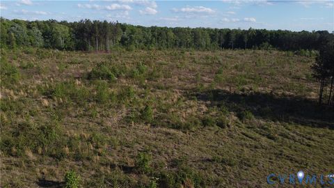 Tiny photo for 62.98 Acres Prince Edward Highway, Rice, VA 23966 (MLS # 2611609)