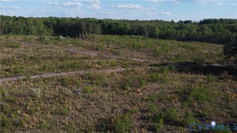 Tiny photo for 62.98 Acres Prince Edward Highway, Rice, VA 23966 (MLS # 2611609)