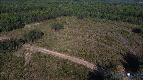Tiny photo for 62.98 Acres Prince Edward Highway, Rice, VA 23966 (MLS # 2611609)