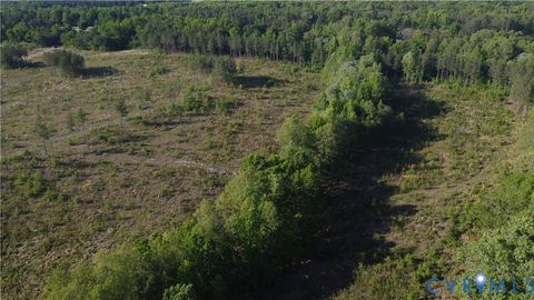 Tiny photo for 62.98 Acres Prince Edward Highway, Rice, VA 23966 (MLS # 2611609)