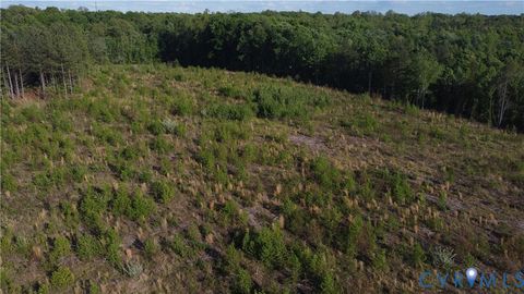 Tiny photo for 62.98 Acres Prince Edward Highway, Rice, VA 23966 (MLS # 2611609)