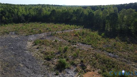 Tiny photo for 62.98 Acres Prince Edward Highway, Rice, VA 23966 (MLS # 2611609)