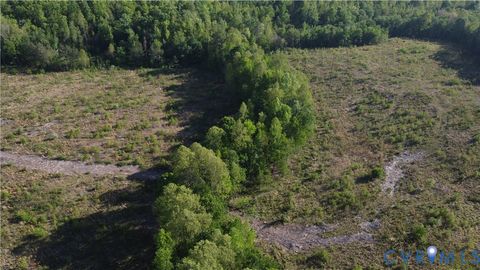 Tiny photo for 62.98 Acres Prince Edward Highway, Rice, VA 23966 (MLS # 2611609)