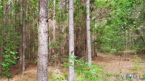 Tiny photo for 0 Rainey Creek Road, Mc Kenney, VA 23872 (MLS # 2626571)
