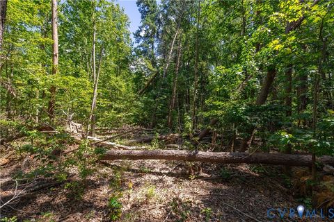 Tiny photo for 7.620 ACRES S GENITO Road, Jetersville, VA 23083 (MLS # 2524328)