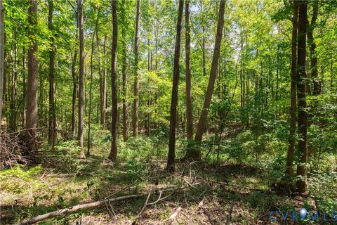 Tiny photo for 7.620 ACRES S GENITO Road, Jetersville, VA 23083 (MLS # 2524328)