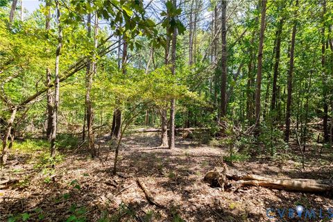 Tiny photo for 7.620 ACRES S GENITO Road, Jetersville, VA 23083 (MLS # 2524328)