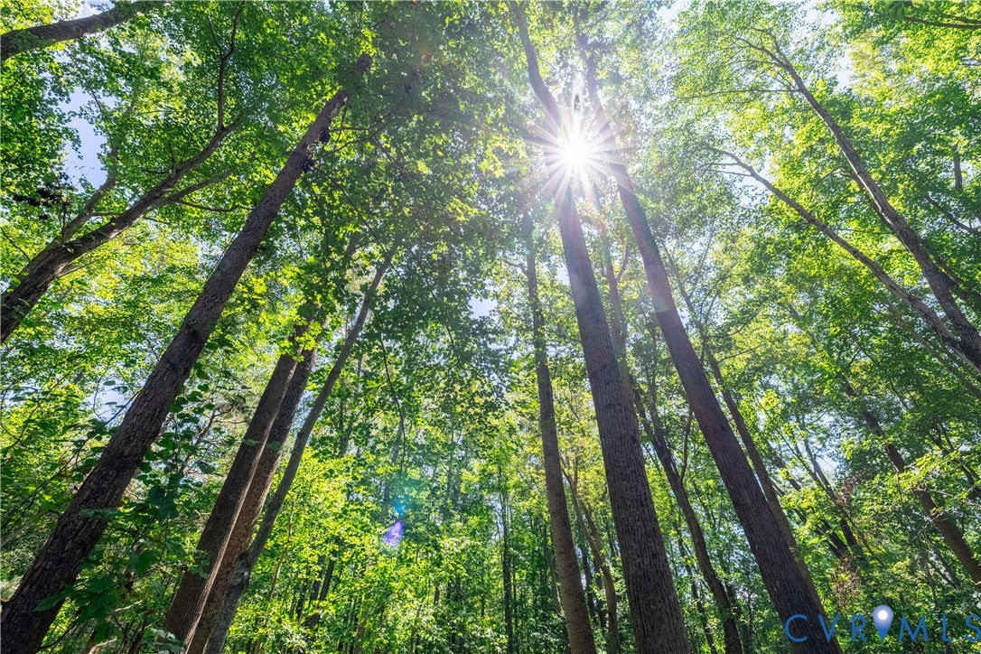 7.620 ACRES S GENITO Road