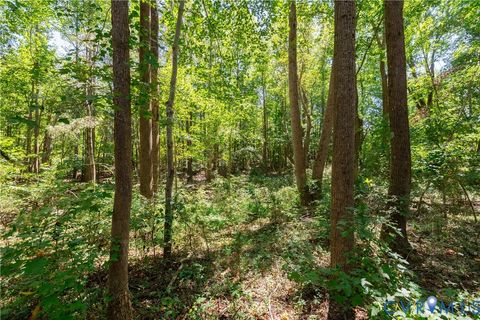Tiny photo for 7.620 ACRES S GENITO Road, Jetersville, VA 23083 (MLS # 2524328)