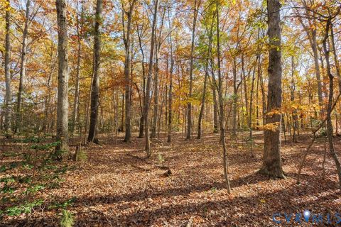 Tiny photo for 000 Maidens Road, Maidens, VA 23102 (MLS # 2530889)
