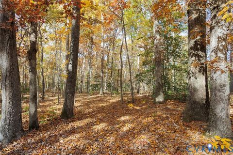 Tiny photo for 000 Maidens Road, Maidens, VA 23102 (MLS # 2530889)