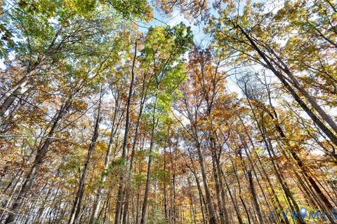 Tiny photo for 000 Maidens Road, Maidens, VA 23102 (MLS # 2530889)