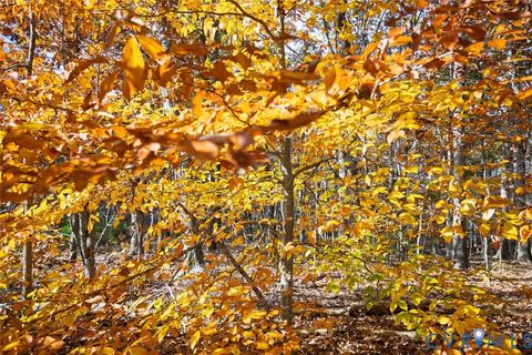 Tiny photo for 000 Maidens Road, Maidens, VA 23102 (MLS # 2530889)