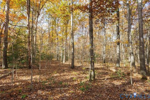 Tiny photo for 000 Maidens Road, Maidens, VA 23102 (MLS # 2530889)
