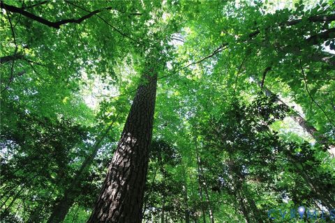 Tiny photo for 0 Buckhead Drive, Bracey, VA 23919 (MLS # 2616476)