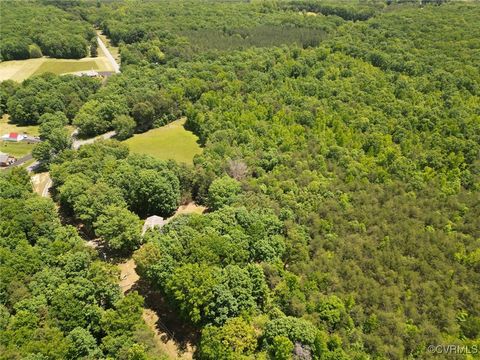 Tiny photo for 4063 Pattie Road, Buckingham, VA 23921 (MLS # 2501962)