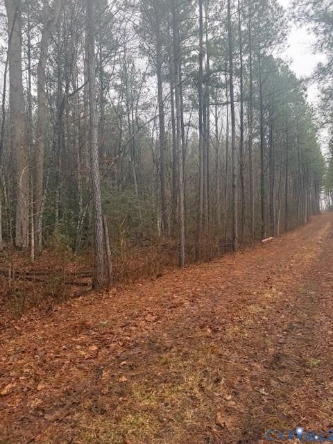 Tiny photo for 26400 Cherry Hill Rd RD, Mc Kenney, VA 23872 (MLS # 2623504)