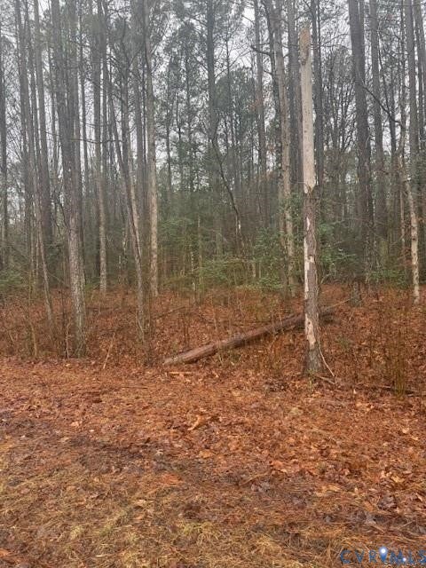 Tiny photo for 26400 Cherry Hill Rd RD, Mc Kenney, VA 23872 (MLS # 2623504)