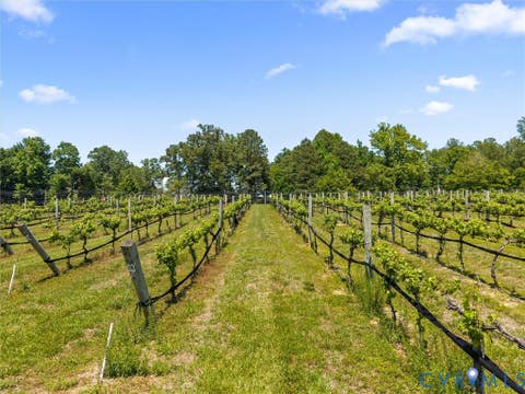 Tiny photo for 8587 Barrique Road, New Kent, VA 23124 (MLS # 2615524)