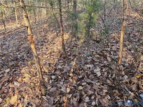 Tiny photo for 0 Warbonnett Trail, Mineral, VA 23117 (MLS # 2532180)