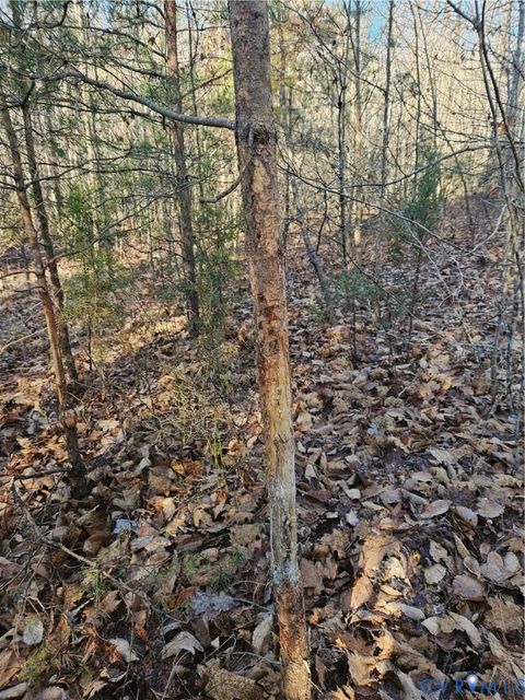 Tiny photo for 0 Warbonnett Trail, Mineral, VA 23117 (MLS # 2532180)