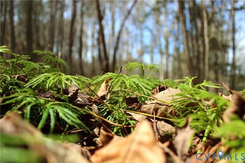 Tiny photo for 00 Greentown Drive, Lawrenceville, VA 23868 (MLS # 2606517)