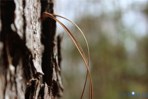 Tiny photo for 00 Greentown Drive, Lawrenceville, VA 23868 (MLS # 2606517)