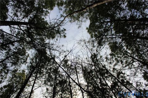 Tiny photo for 00 Greentown Drive, Lawrenceville, VA 23868 (MLS # 2606517)