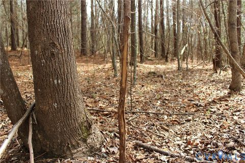 Tiny photo for 00 Greentown Drive, Lawrenceville, VA 23868 (MLS # 2606517)