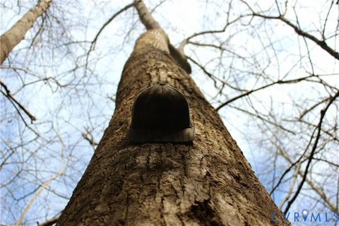 Tiny photo for 00 Greentown Drive, Lawrenceville, VA 23868 (MLS # 2606517)