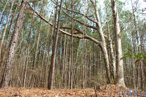 Tiny photo for 00 Greentown Drive, Lawrenceville, VA 23868 (MLS # 2606517)