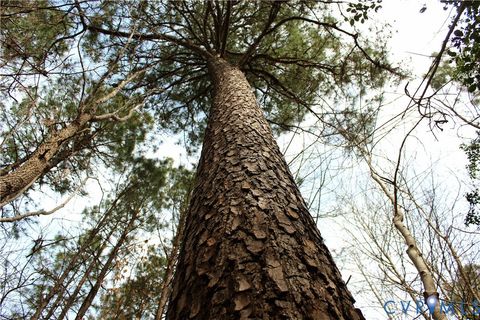 Tiny photo for 00 Greentown Drive, Lawrenceville, VA 23868 (MLS # 2606517)