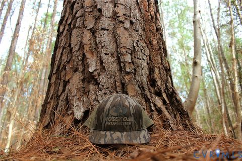 Tiny photo for 00 Greentown Drive, Lawrenceville, VA 23868 (MLS # 2606517)