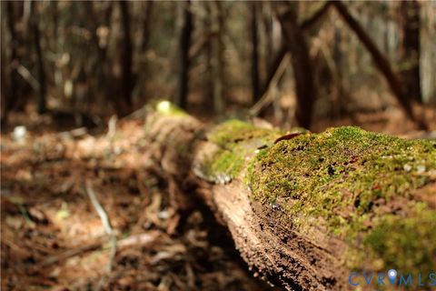 Tiny photo for 00 Greentown Drive, Lawrenceville, VA 23868 (MLS # 2606517)