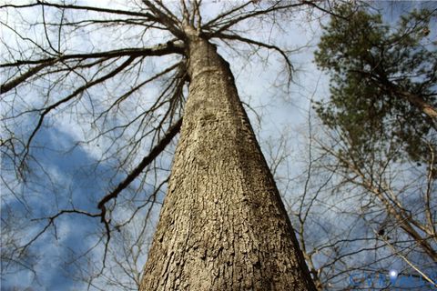 Tiny photo for 00 Greentown Drive, Lawrenceville, VA 23868 (MLS # 2606517)