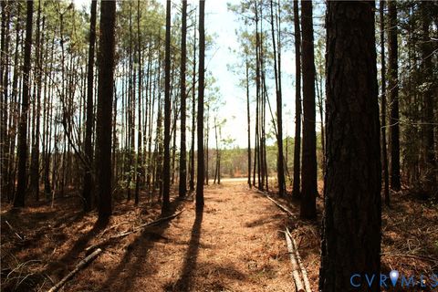 Photo of 00 Greentown Drive, Lawrenceville, VA 23868 (MLS # 2606517)